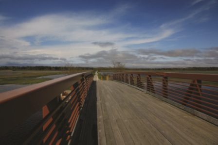 marsh ET bridge shot