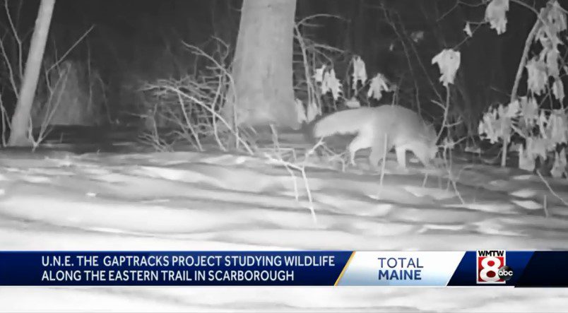 Gap Tracks game cam image