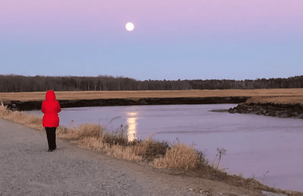Scarbough Marsh section of the Eastern Trail
