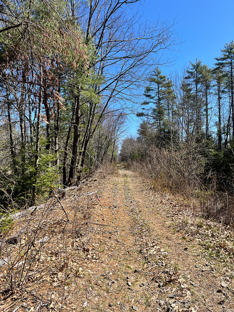 Blaze the Trail South trail photo